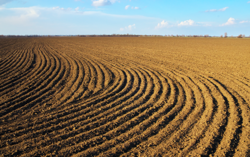 agriculture
