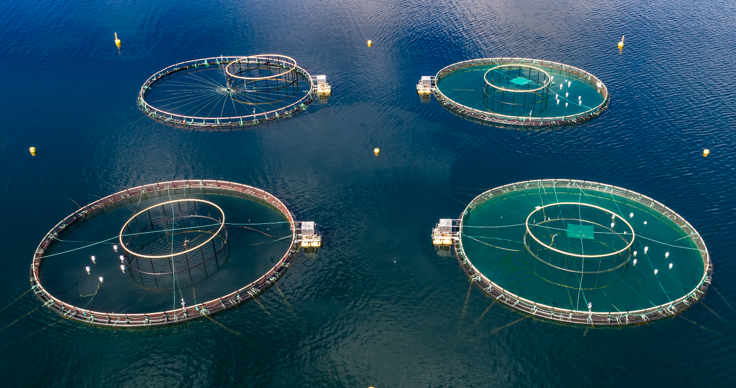 aquaculture