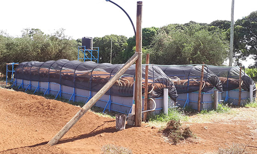 biogas system