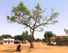 Niger Niamey Boulevard de la Nation Rue YN 343