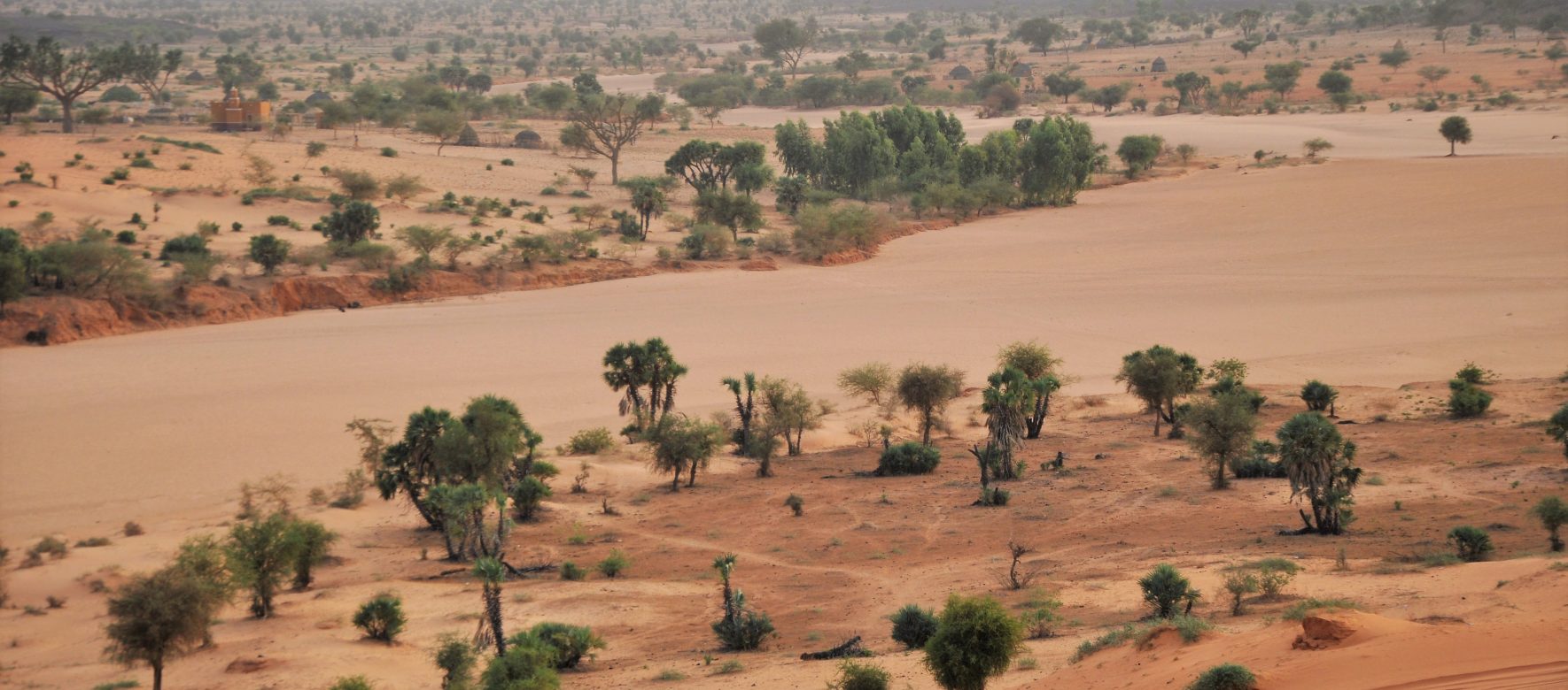 Niger Niamey Dunes 3 landscape
