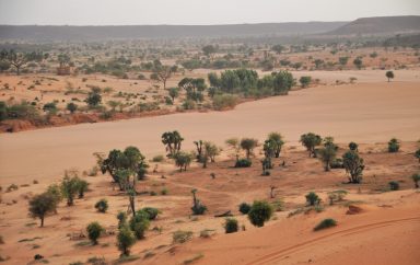 Niger Niamey Dunes 3 landscape