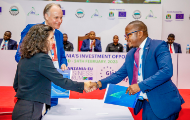 tanzanie nmb bank