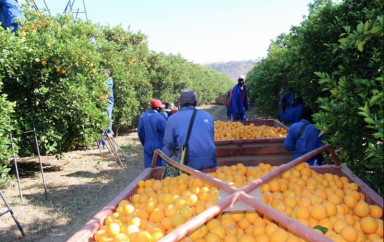 Capture decran 2023 06 06 a 21.58.16