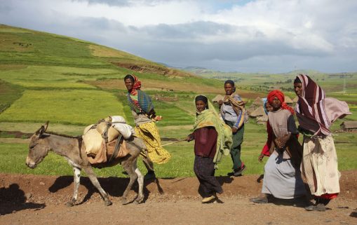 Deplacement des femmes en Ethiopie