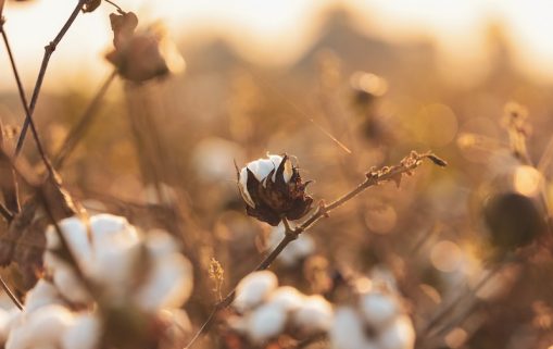 karl wiggers X401Lkrm0g unsplash