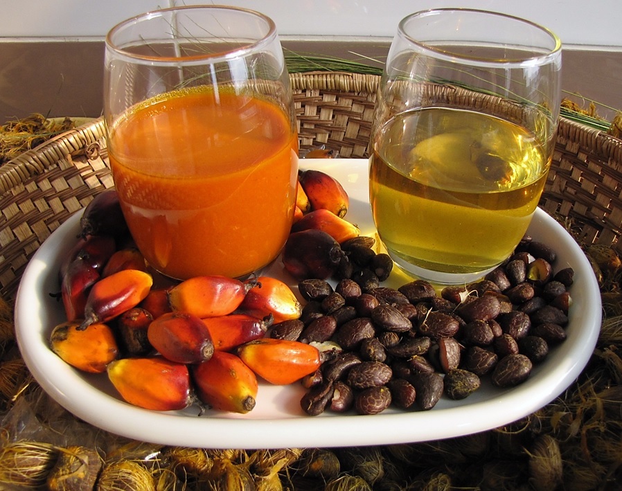 Palm Oils outer pulp vs kernel from African Oil Palm Elaeis guineenisis