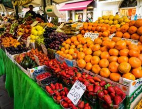 photo fruites