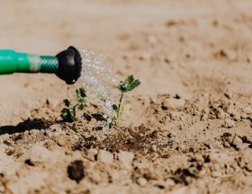 irrigation