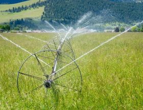 The NRCS worked with Harlequin Produce to increase cover crops in order to improve nitrogen in the soil and overall soil health. More: Water management is key in keeping the farm productive. Photo taken June 10, 2019 in Arlee, Montana located in Lake County.. Original public domain image from <a href=