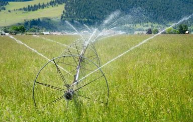 The NRCS worked with Harlequin Produce to increase cover crops in order to improve nitrogen in the soil and overall soil health. More: Water management is key in keeping the farm productive. Photo taken June 10, 2019 in Arlee, Montana located in Lake County.. Original public domain image from <a href=