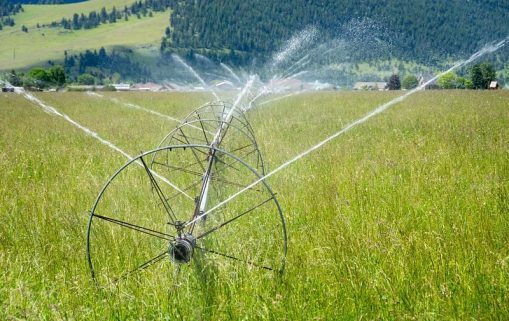 The NRCS worked with Harlequin Produce to increase cover crops in order to improve nitrogen in the soil and overall soil health. More: Water management is key in keeping the farm productive. Photo taken June 10, 2019 in Arlee, Montana located in Lake County.. Original public domain image from <a href=