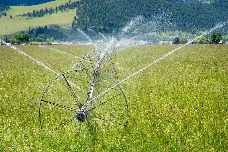 The NRCS worked with Harlequin Produce to increase cover crops in order to improve nitrogen in the soil and overall soil health. More: Water management is key in keeping the farm productive. Photo taken June 10, 2019 in Arlee, Montana located in Lake County.. Original public domain image from <a href=