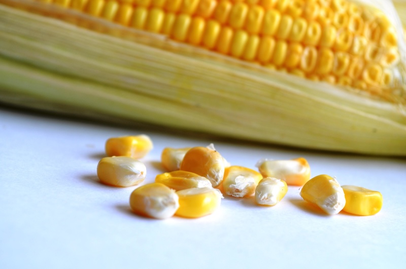 maize, corn, food