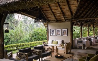 Uganda, Sanctuary Gorilla Forest Camp