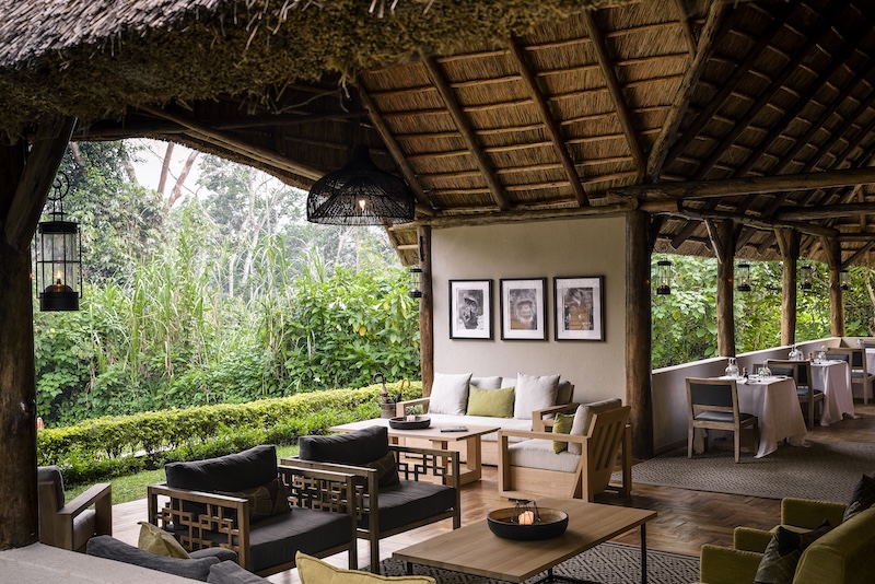 Uganda, Sanctuary Gorilla Forest Camp