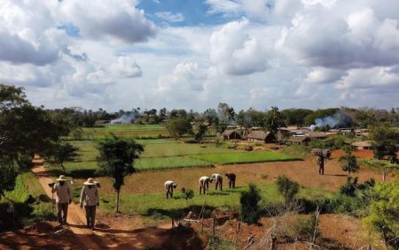 Agriculture en côte d'ivoire