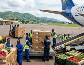 Firefly GeminiFlash exportations de produits horticoles au Rwanda 655560