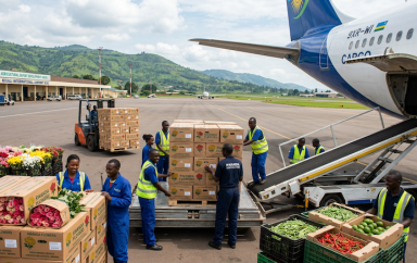 Firefly GeminiFlash exportations de produits horticoles au Rwanda 655560