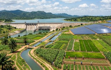Le Nigéria irrigations barrages énergie durable