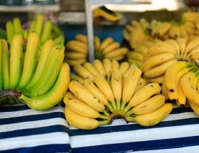 pexels bertellifotografia 30893285