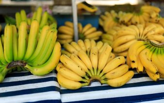 pexels bertellifotografia 30893285