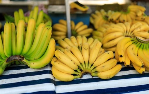 pexels bertellifotografia 30893285