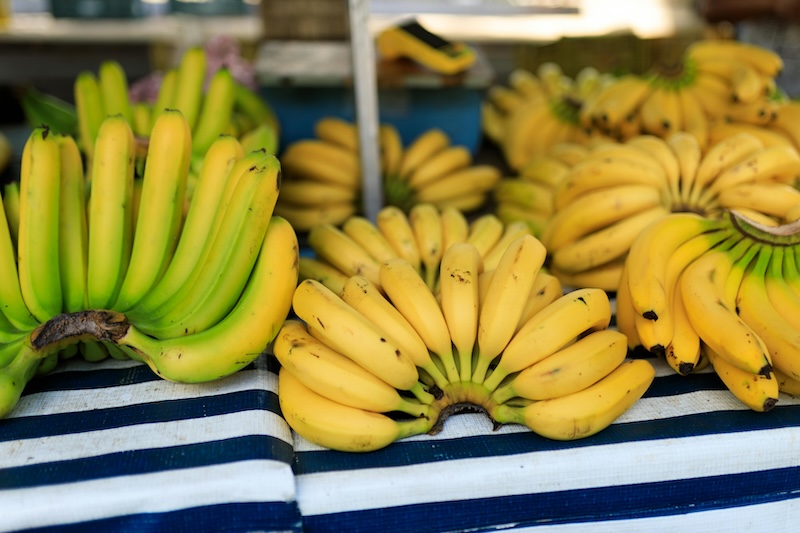 pexels bertellifotografia 30893285