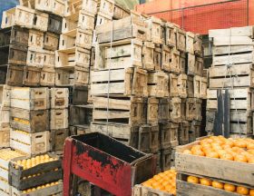 hemerson coelho iqEOJiBs1o8 unsplash