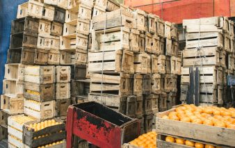 hemerson coelho iqEOJiBs1o8 unsplash