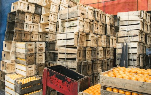 hemerson coelho iqEOJiBs1o8 unsplash