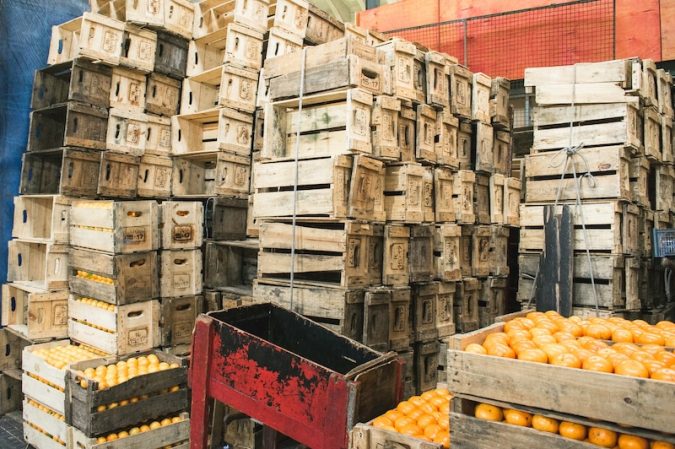 hemerson coelho iqEOJiBs1o8 unsplash