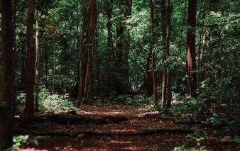 imat bagja gumilar jwTvCQQJXh0 unsplash