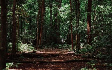 imat bagja gumilar jwTvCQQJXh0 unsplash