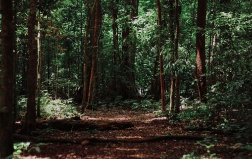 imat bagja gumilar jwTvCQQJXh0 unsplash