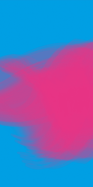 WEB 300x600px ATTRACTIVITE 05 26 MG